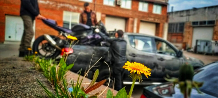 IMG20220508081712-01